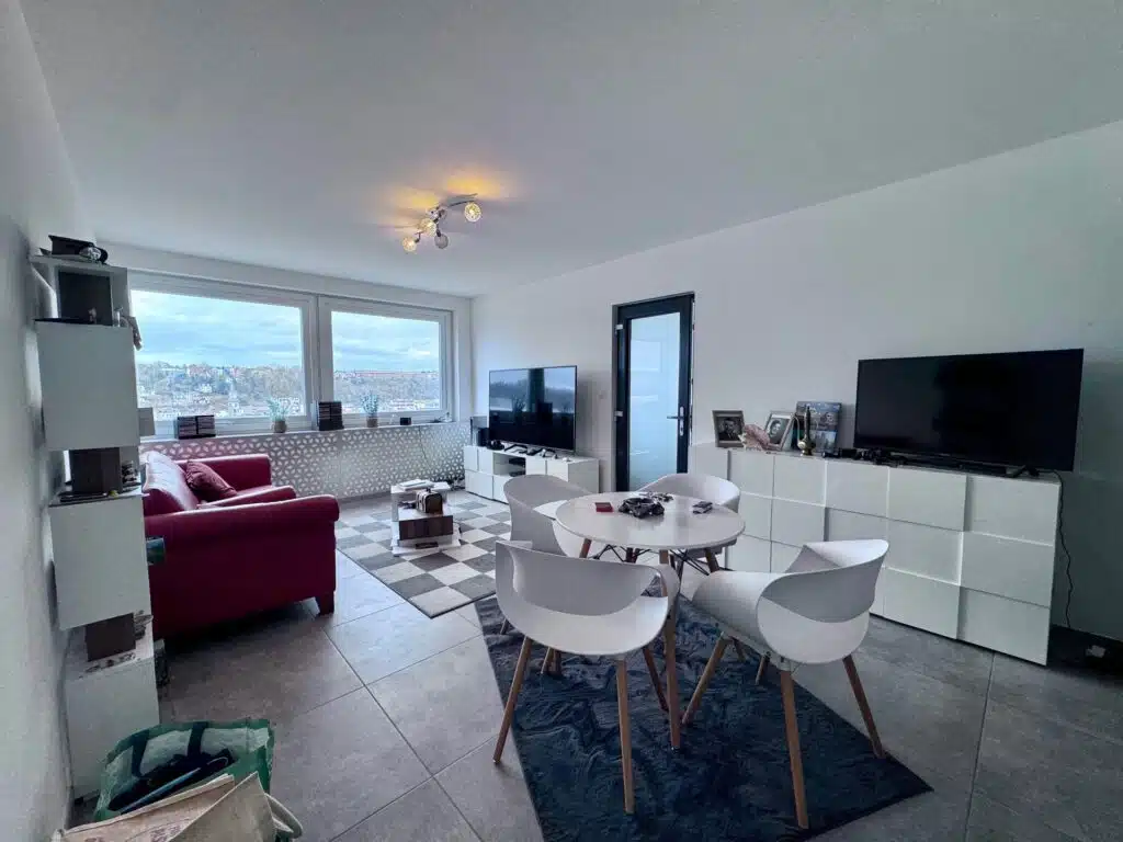 Appartement rénové, 1 chambre